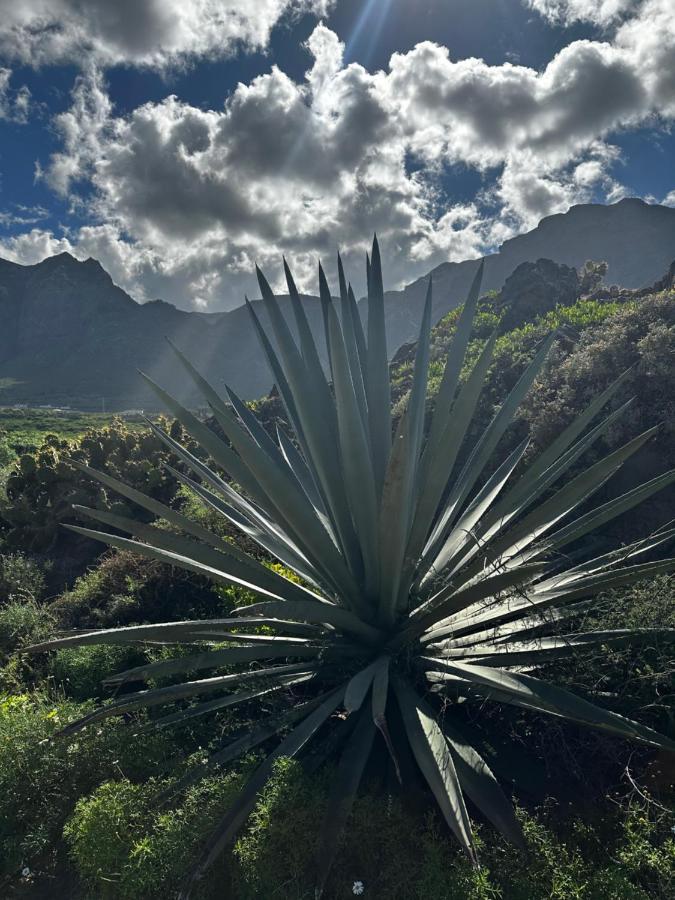Aventura En * Buenavista Del Norte