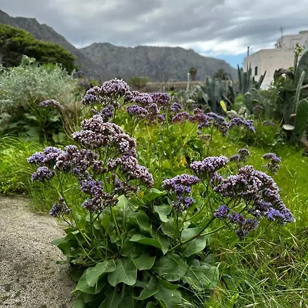 Aventura En Buenavista Del Norte Esterno foto