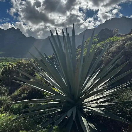 Aventura En Buenavista Del Norte Esterno foto